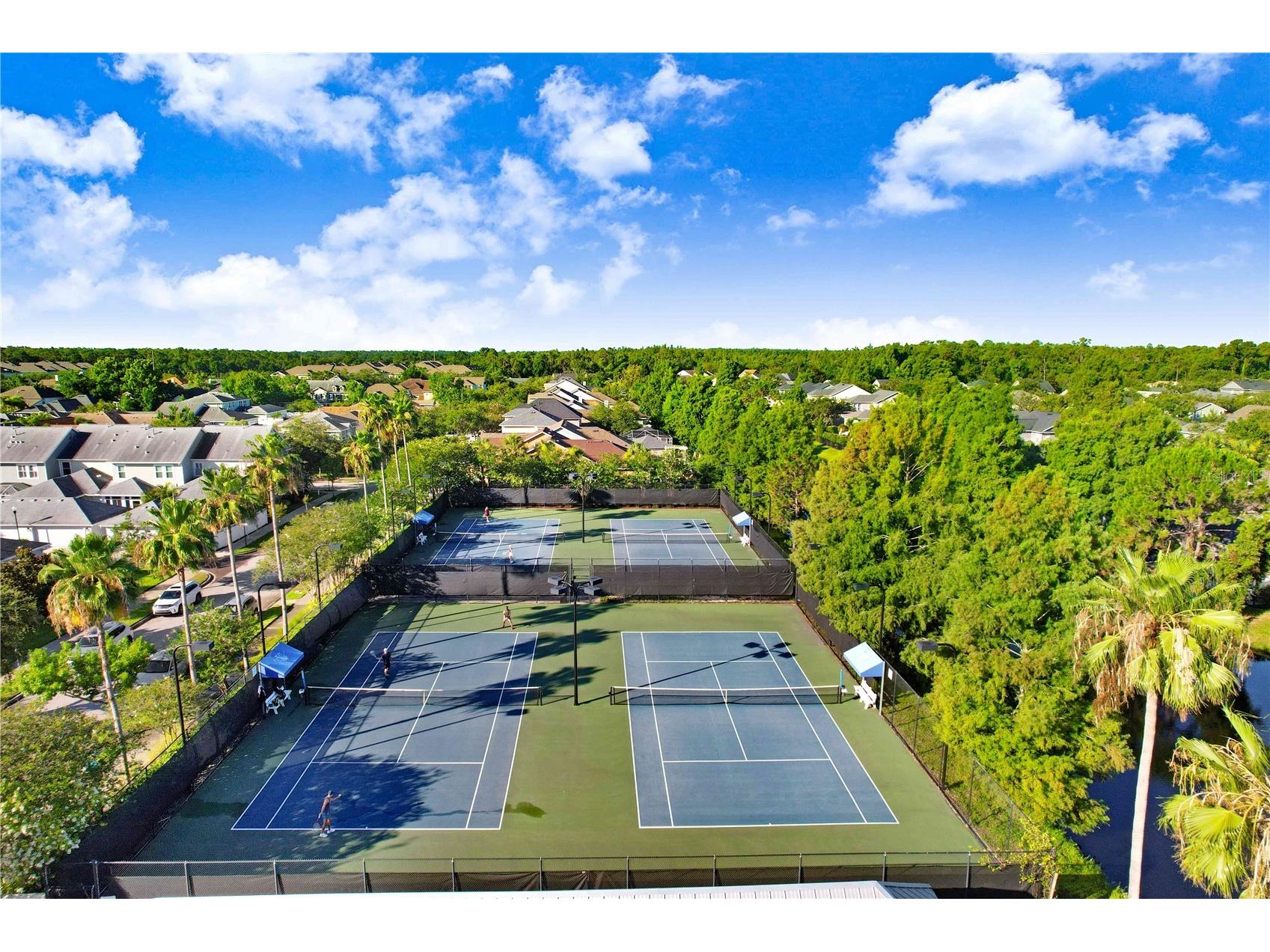 9838 W Park Village Drive #9838 Tampa FL 33626 TB8497683 image50
