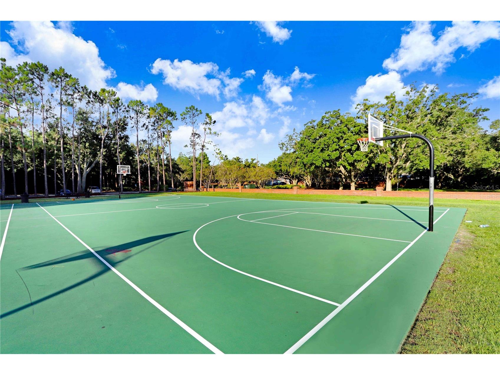9838 W Park Village Drive #9838 Tampa FL 33626 TB8497683 image53