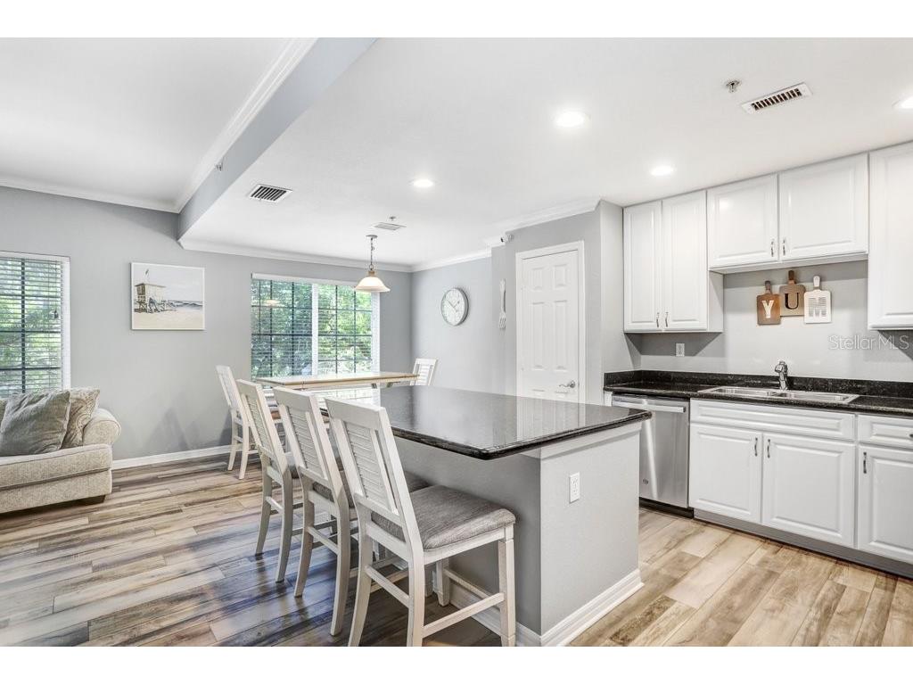 9838 W Park Village Drive #9838 Tampa FL 33626 TB8511628 image9