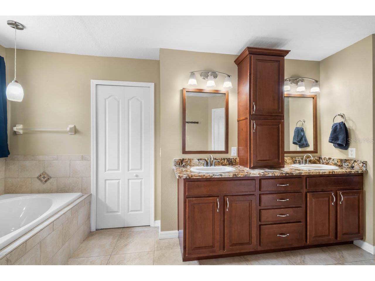 9839 Laurel Ledge Drive Riverview FL 33569 TB8515855 image33