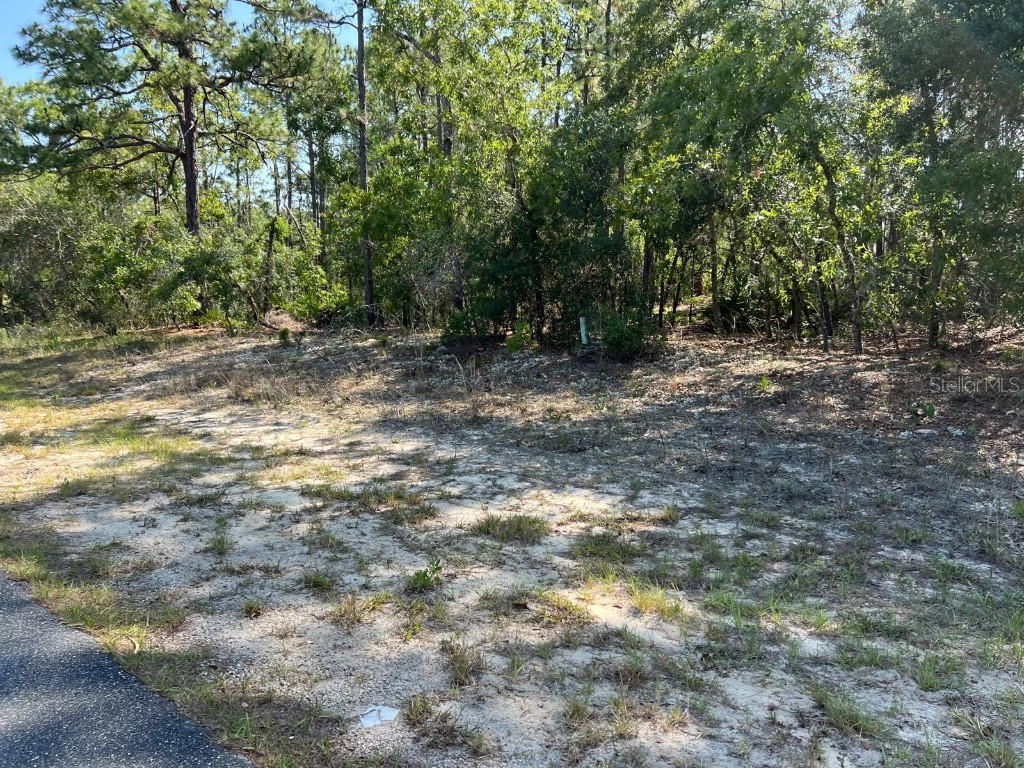 9839 N Cherry Lake Drive Citrus Springs FL 34433 O6206389 image1