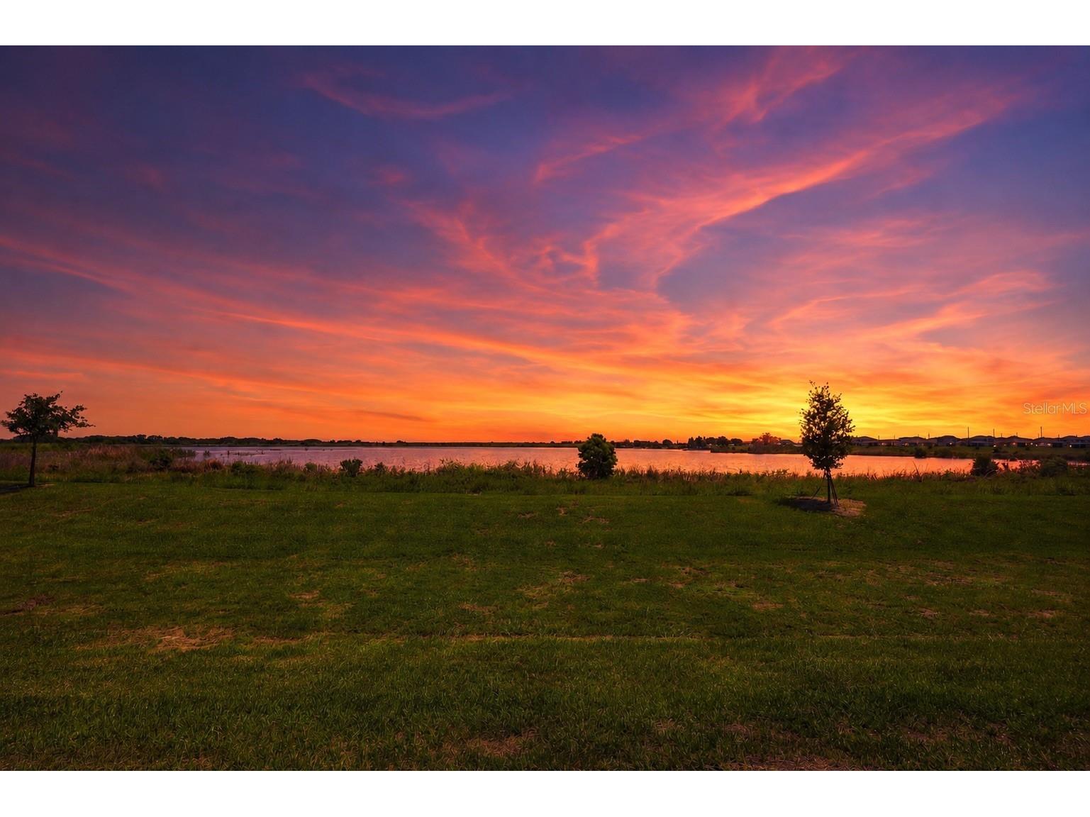 984 Griffon Avenue Lake Alfred FL 33850 O6416703 image24