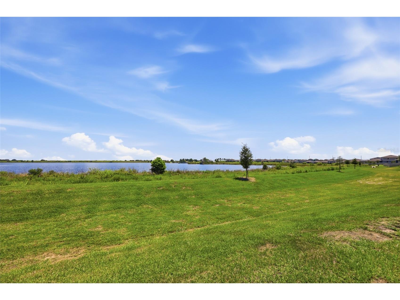 984 Griffon Avenue Lake Alfred FL 33850 O6416703 image25