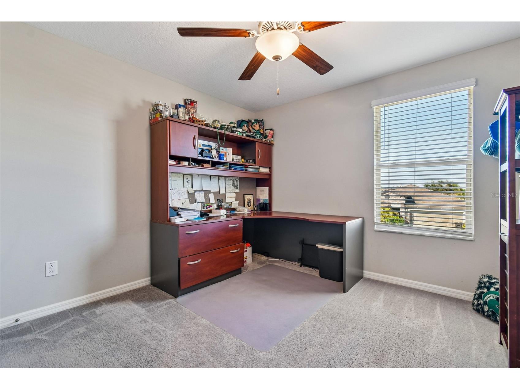 984 Olive Conch Street Ruskin FL 33570 TB8481422 image47