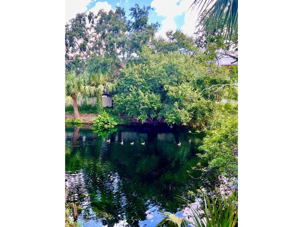 984 Sunridge Drive #J3 Sarasota FL 34234 A4662648 image27