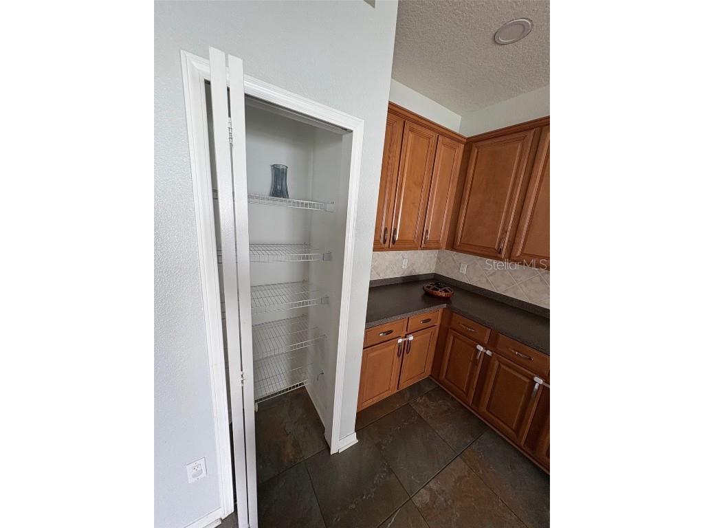 9840 Jasmine Brook Circle Land O Lakes FL 34638 TB8431958 image11