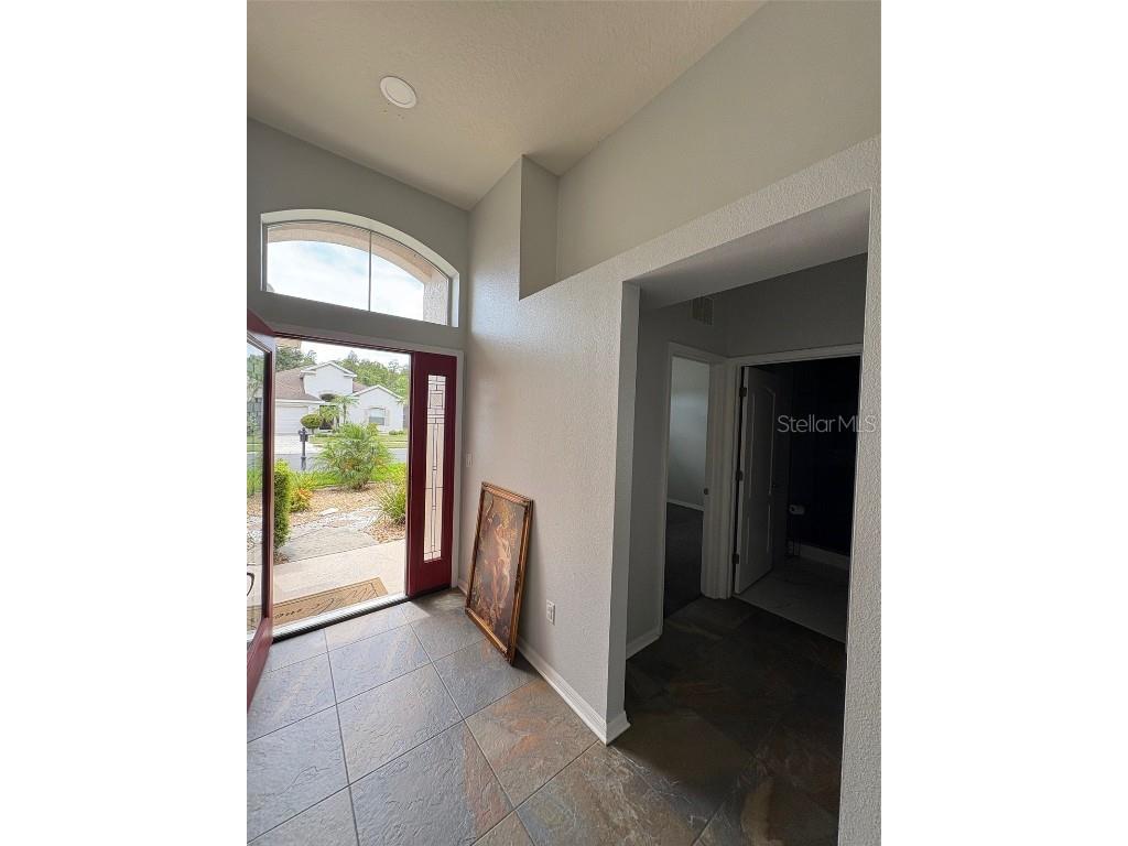 9840 Jasmine Brook Circle Land O Lakes FL 34638 TB8431958 image6