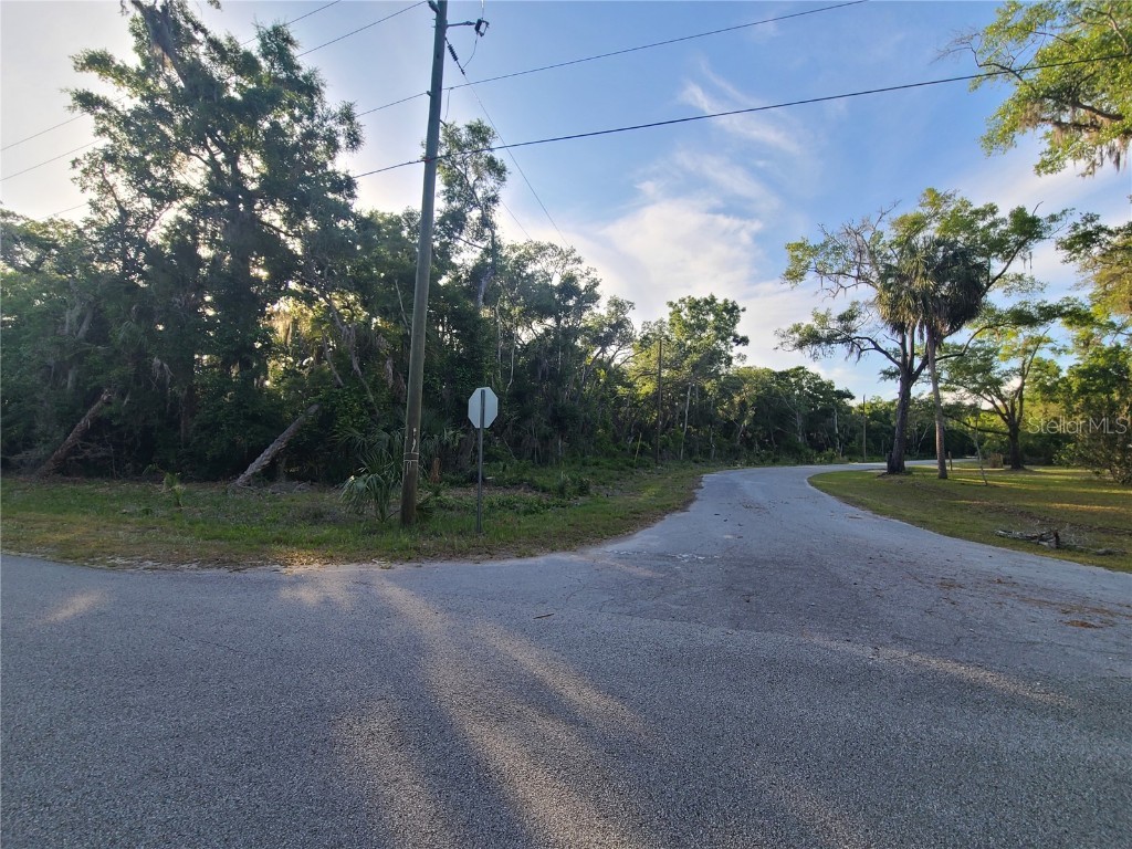 9840 N Snowball Point Crystal River FL 34428 OM677489 image2