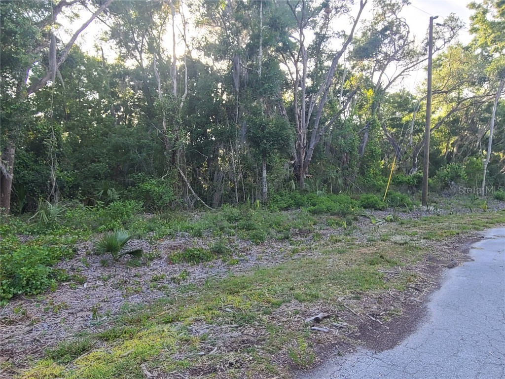 9840 N Snowball Point Crystal River FL 34428 OM677489 image4