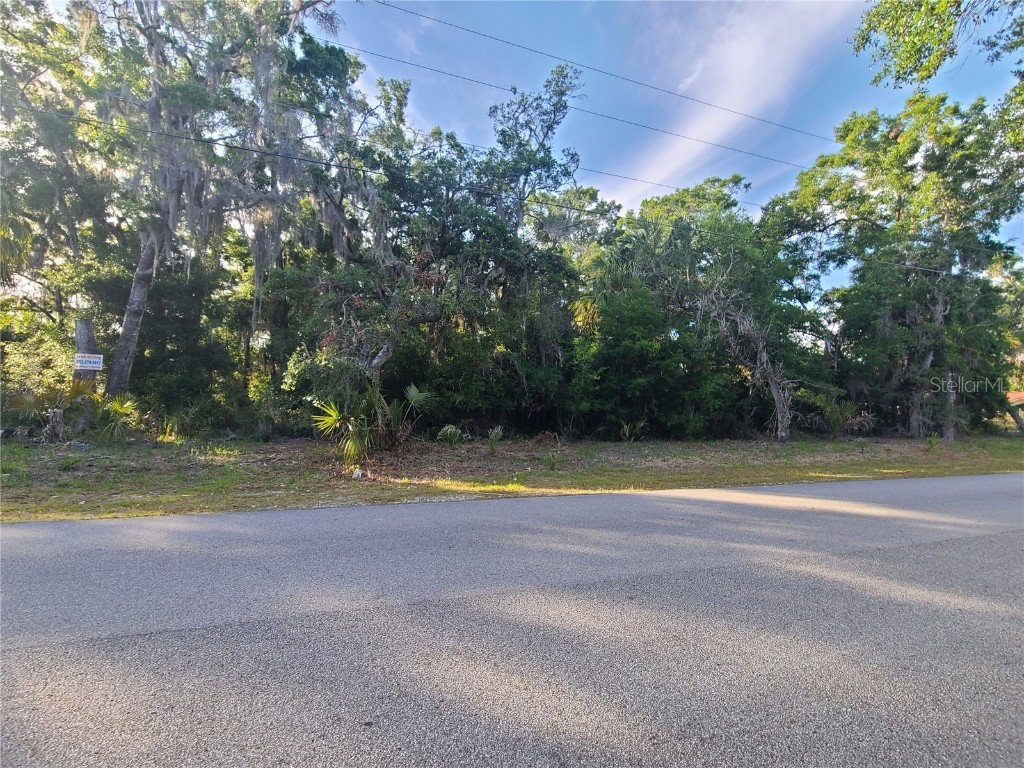 9840 N Snowball Point Crystal River FL 34428 OM677489 image6