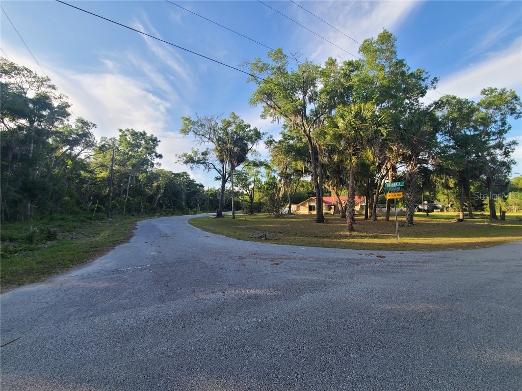 9840 N Snowball Point Crystal River FL 34428 OM677489 image8