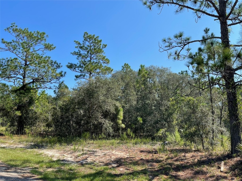 9841 N Swanee Terrace Citrus Springs FL 34433 G5073800 image1