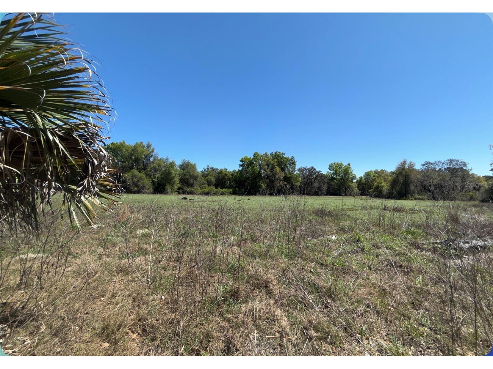 9844 Poe Street Leesburg FL 34788 G5110417 image18
