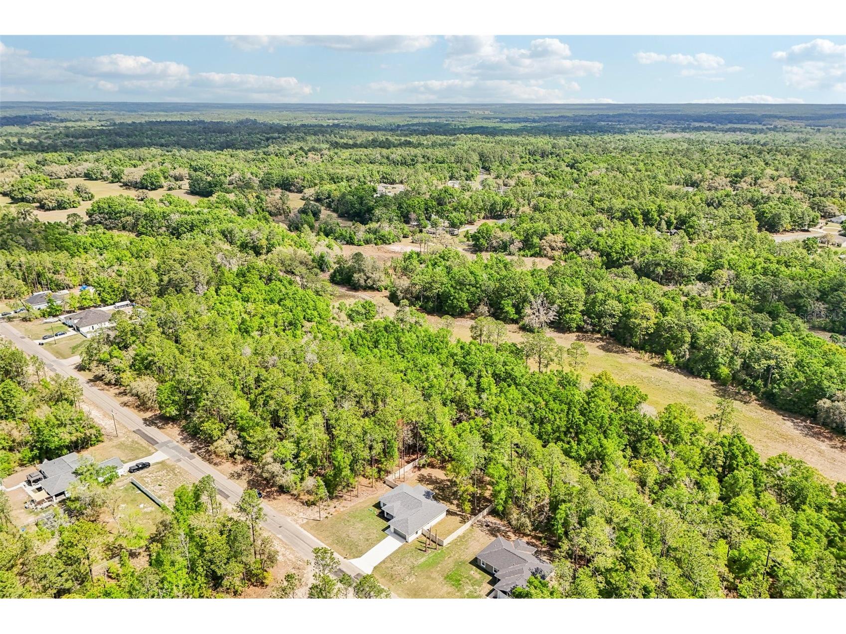 9845 N Sherman Drive Citrus Springs FL 34434 O6396544 image50