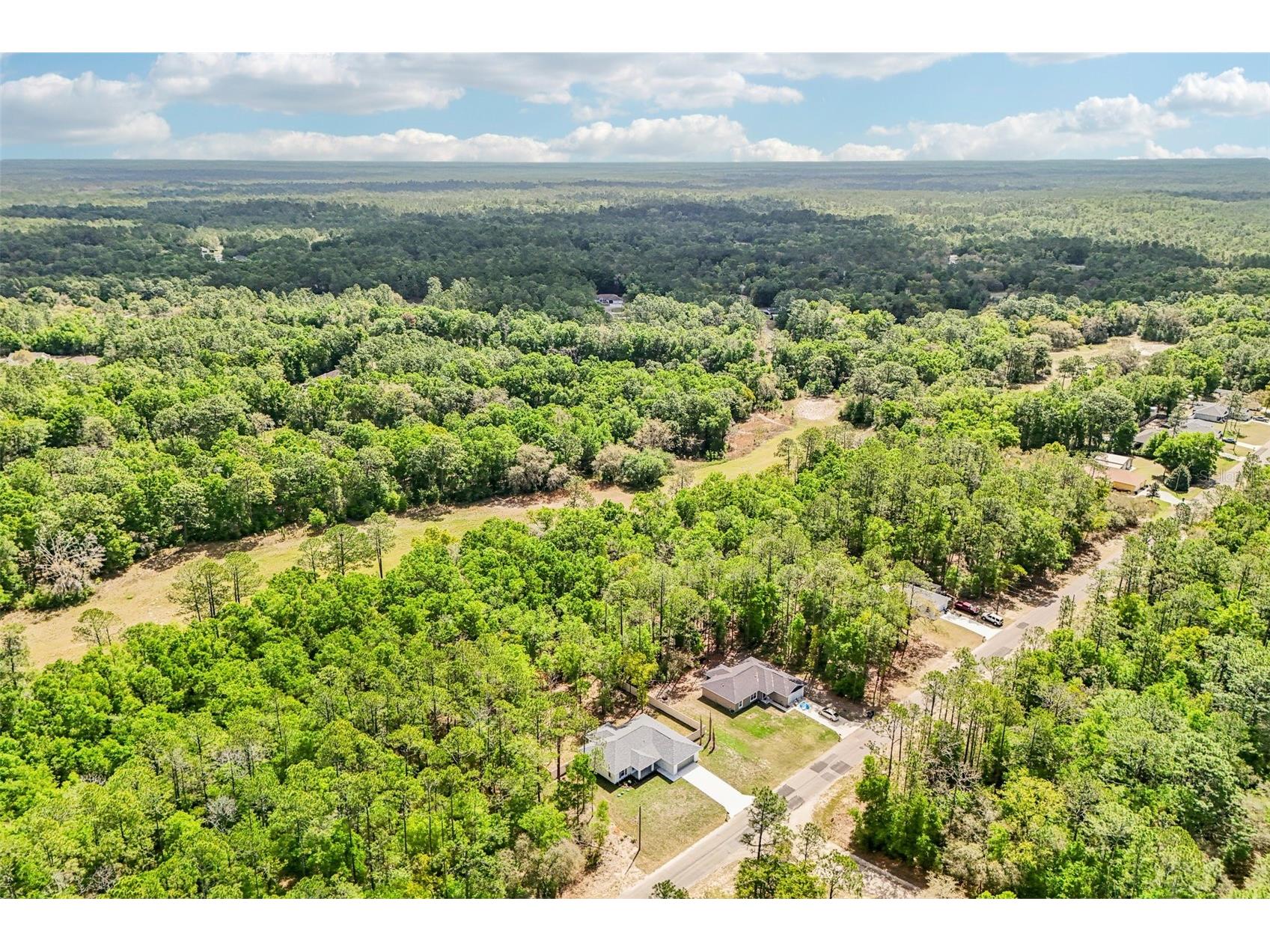 9845 N Sherman Drive Citrus Springs FL 34434 O6396544 image51