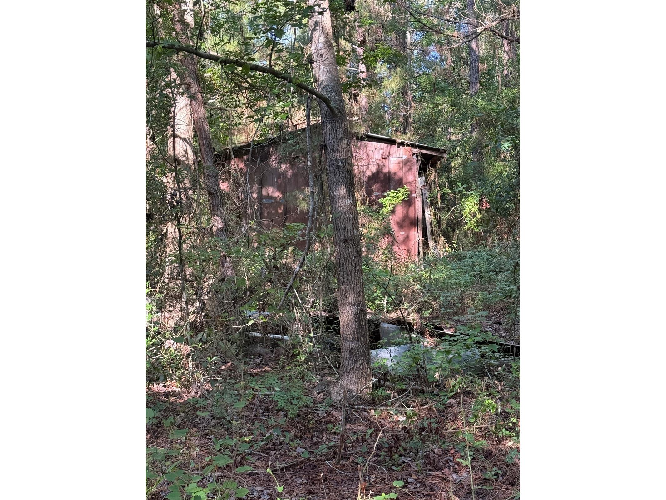 9845 NW 160th Street Reddick FL 32686 G5112419 image12