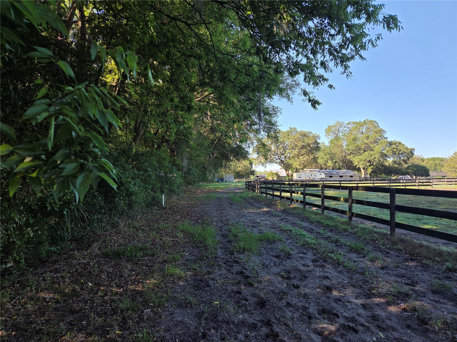 9845 NW 160th Street Reddick FL 32686 G5112419 image17