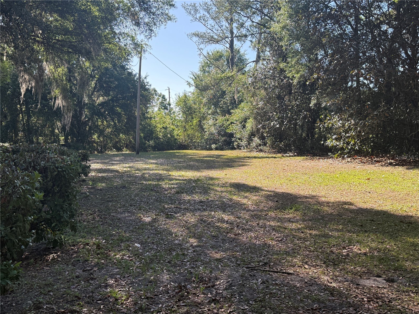 9845 NW 160th Street Reddick FL 32686 G5112419 image4