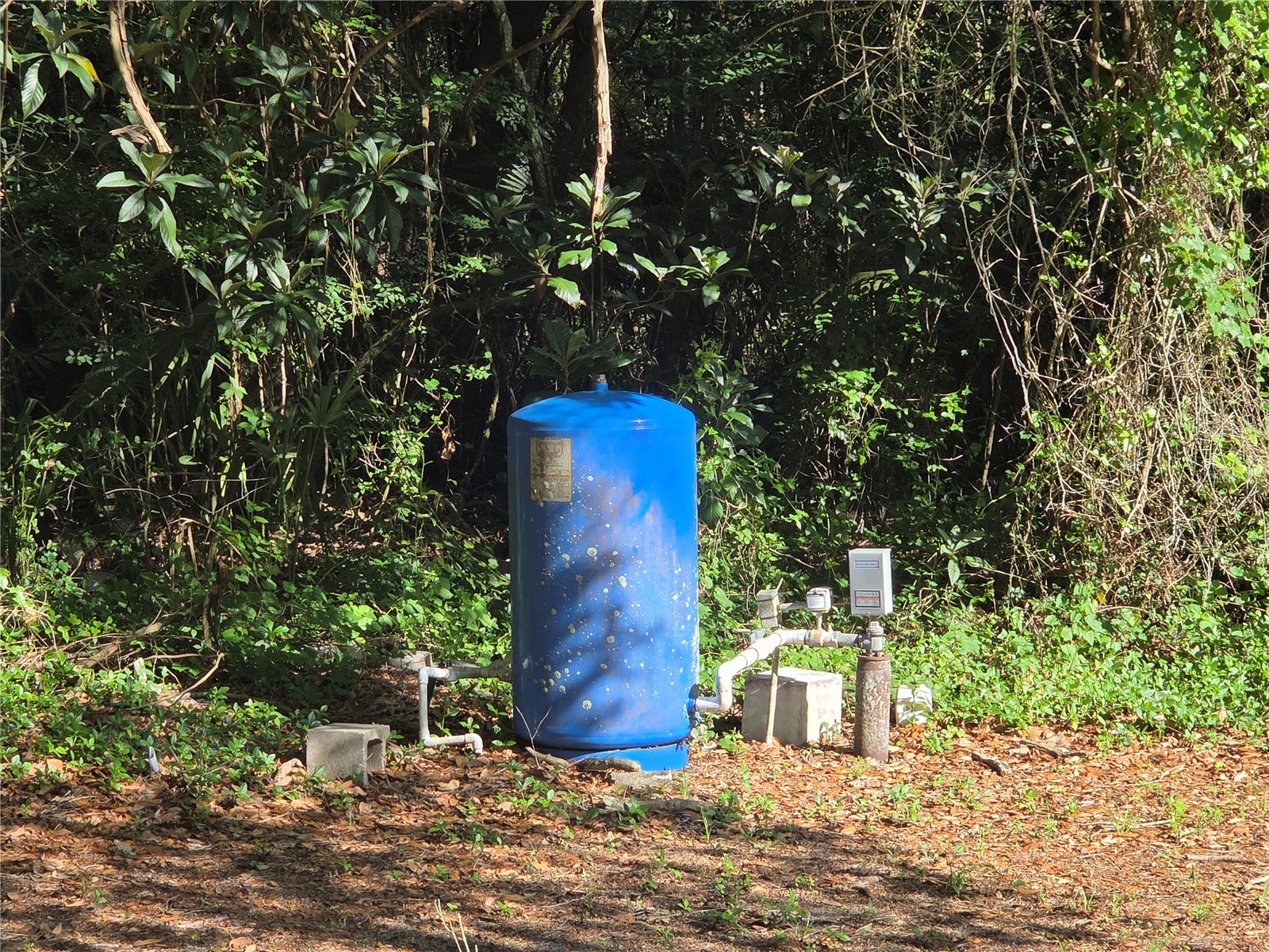 9845 NW 160th Street Reddick FL 32686 G5112419 image6