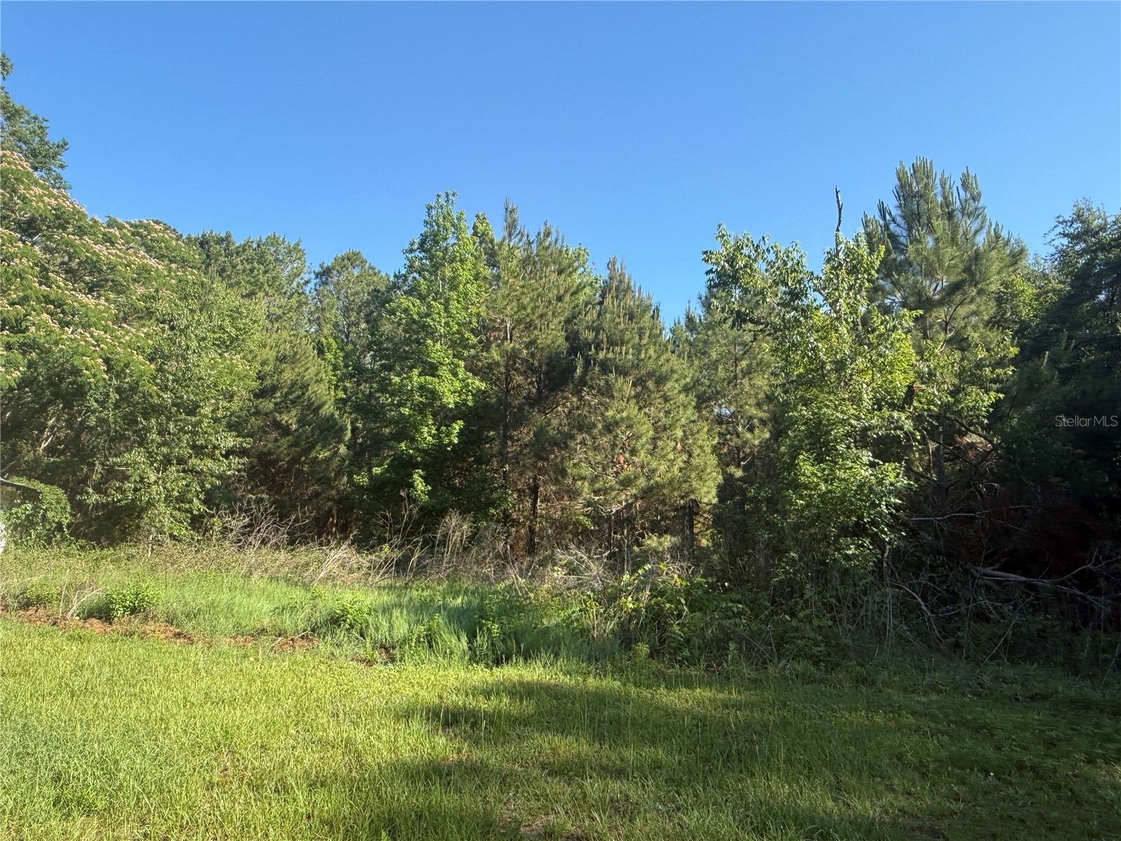 9845 NW 160th Street Reddick FL 32686 G5112419 image8