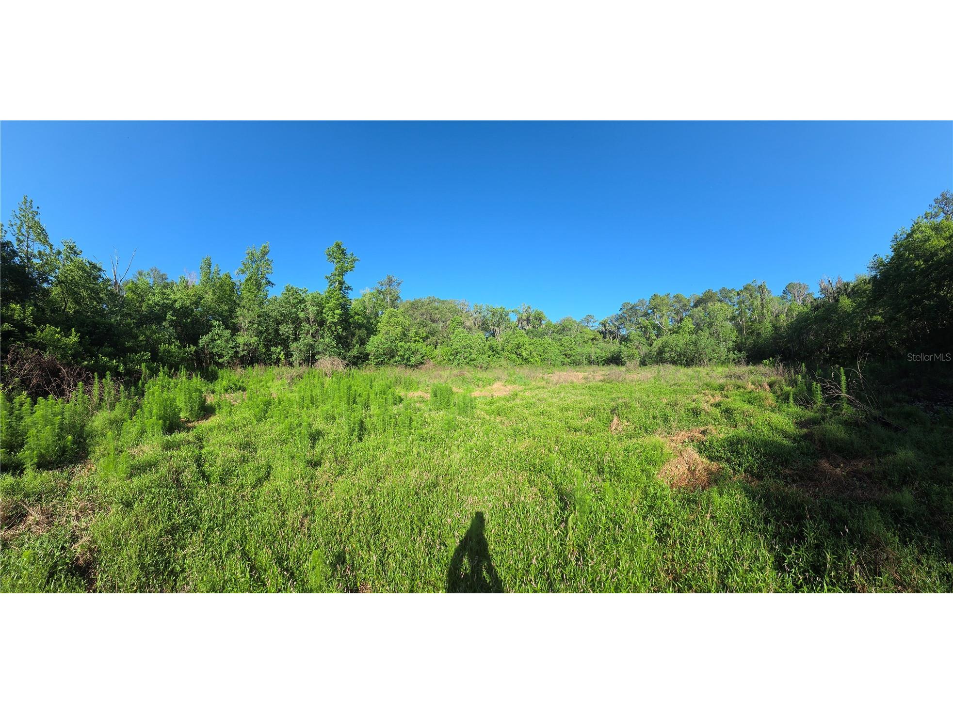 9845 NW 160th Street Reddick FL 32686 G5112419 image9