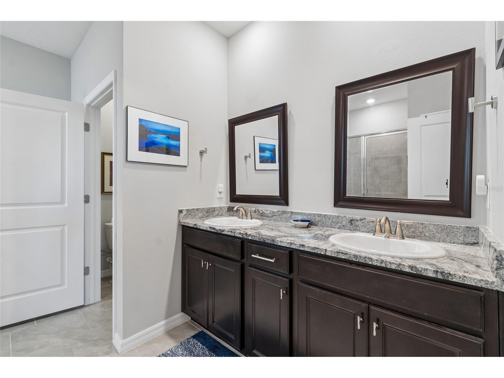 9845 Shoreline View Way Wesley Chapel FL 33545 TB8490468 image19