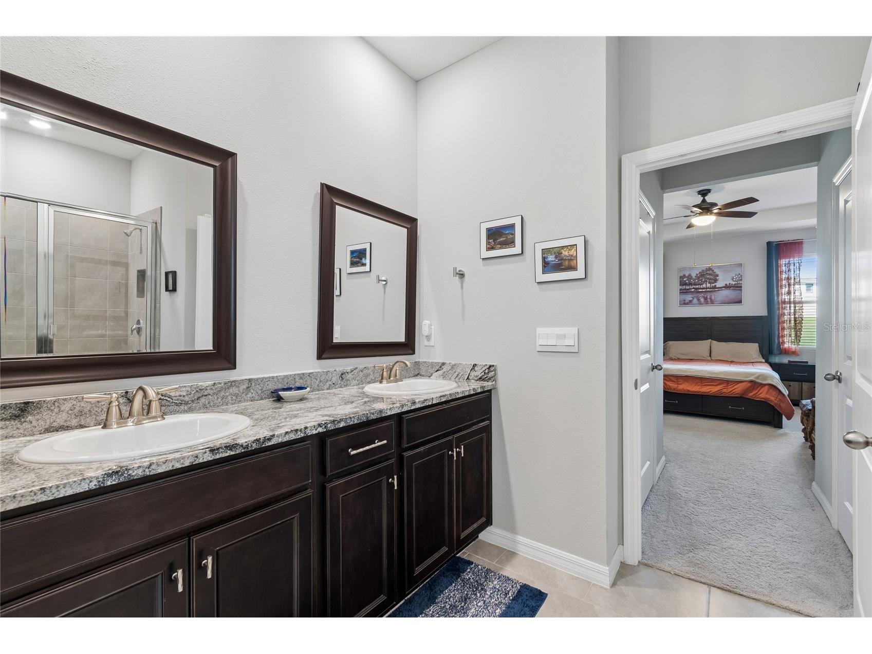 9845 Shoreline View Way Wesley Chapel FL 33545 TB8490468 image20