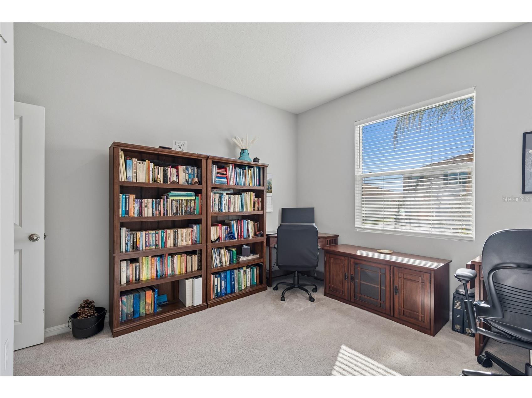 9845 Shoreline View Way Wesley Chapel FL 33545 TB8490468 image23