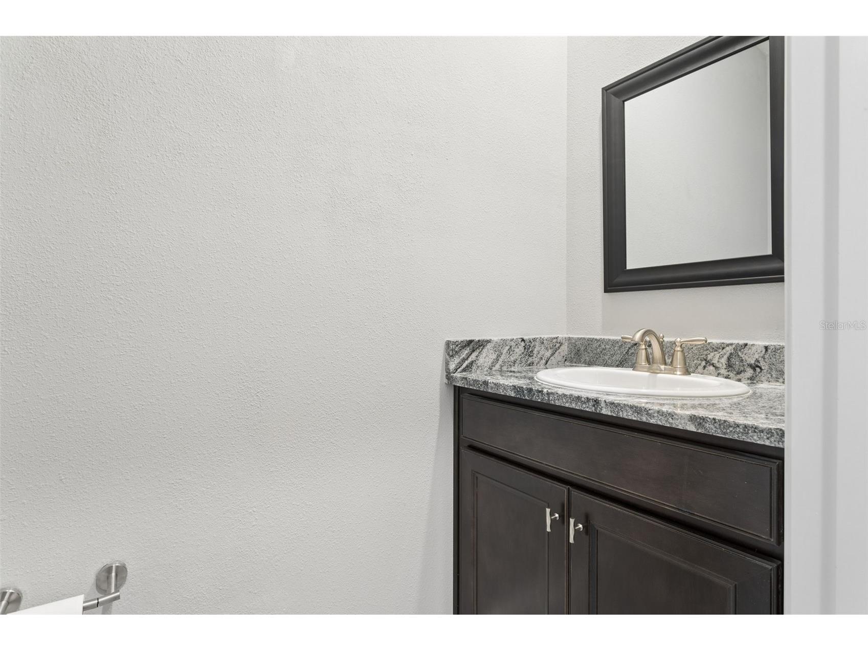 9845 Shoreline View Way Wesley Chapel FL 33545 TB8516959 image19