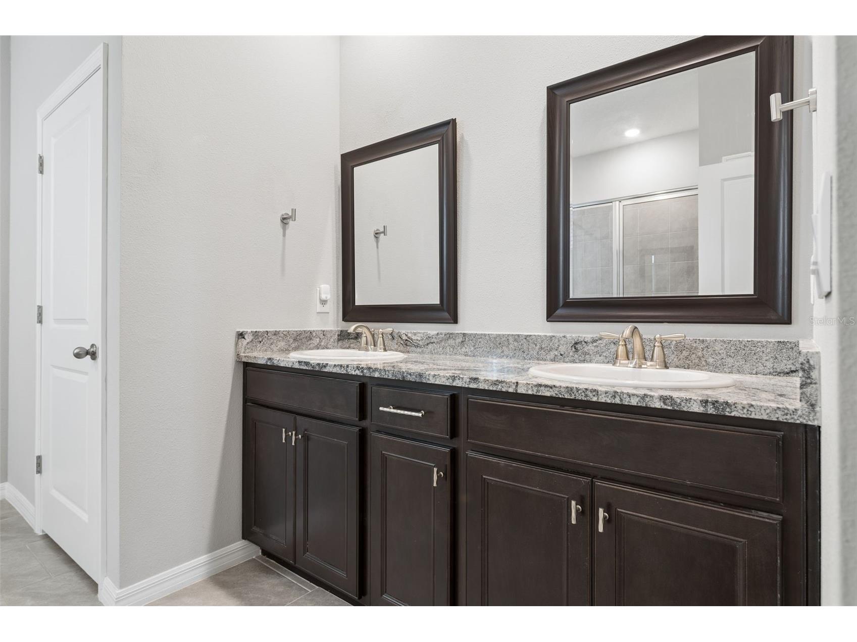 9845 Shoreline View Way Wesley Chapel FL 33545 TB8516959 image22