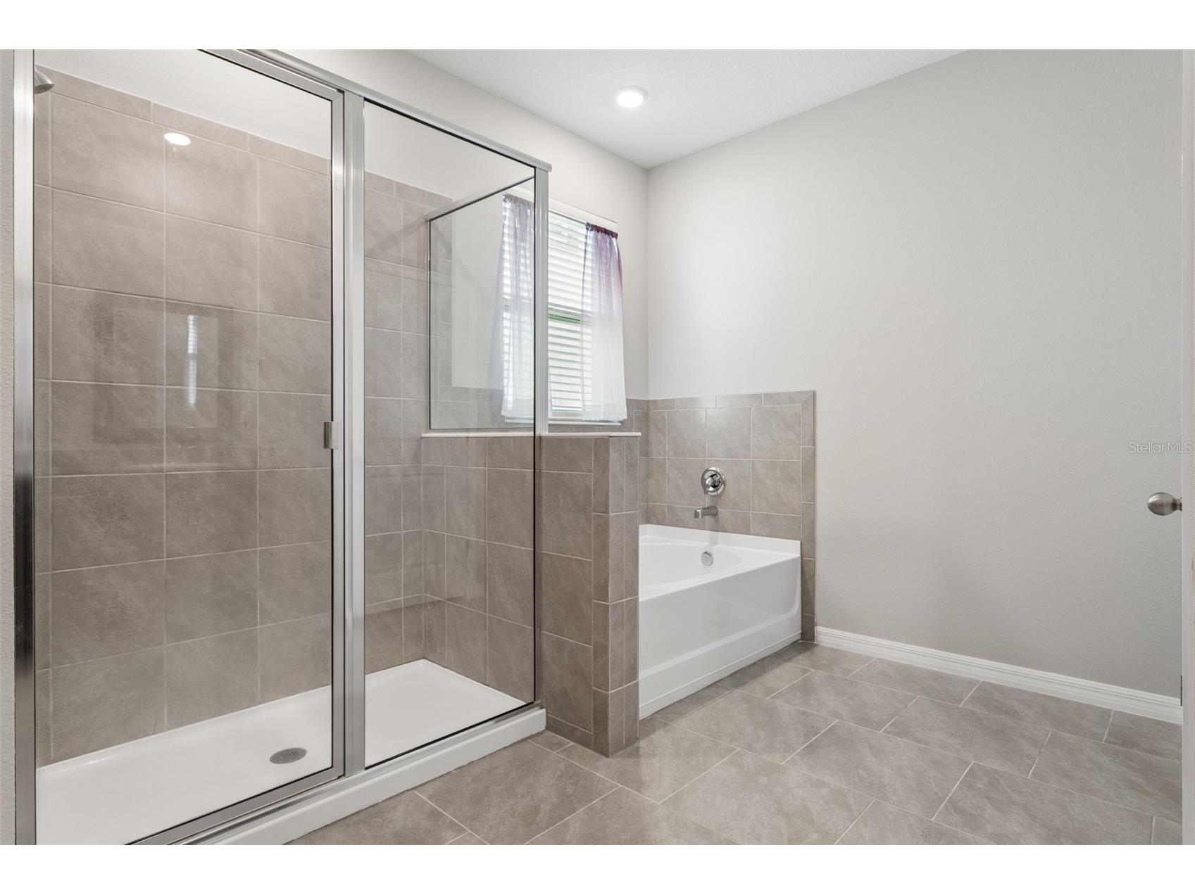 9845 Shoreline View Way Wesley Chapel FL 33545 TB8516959 image24