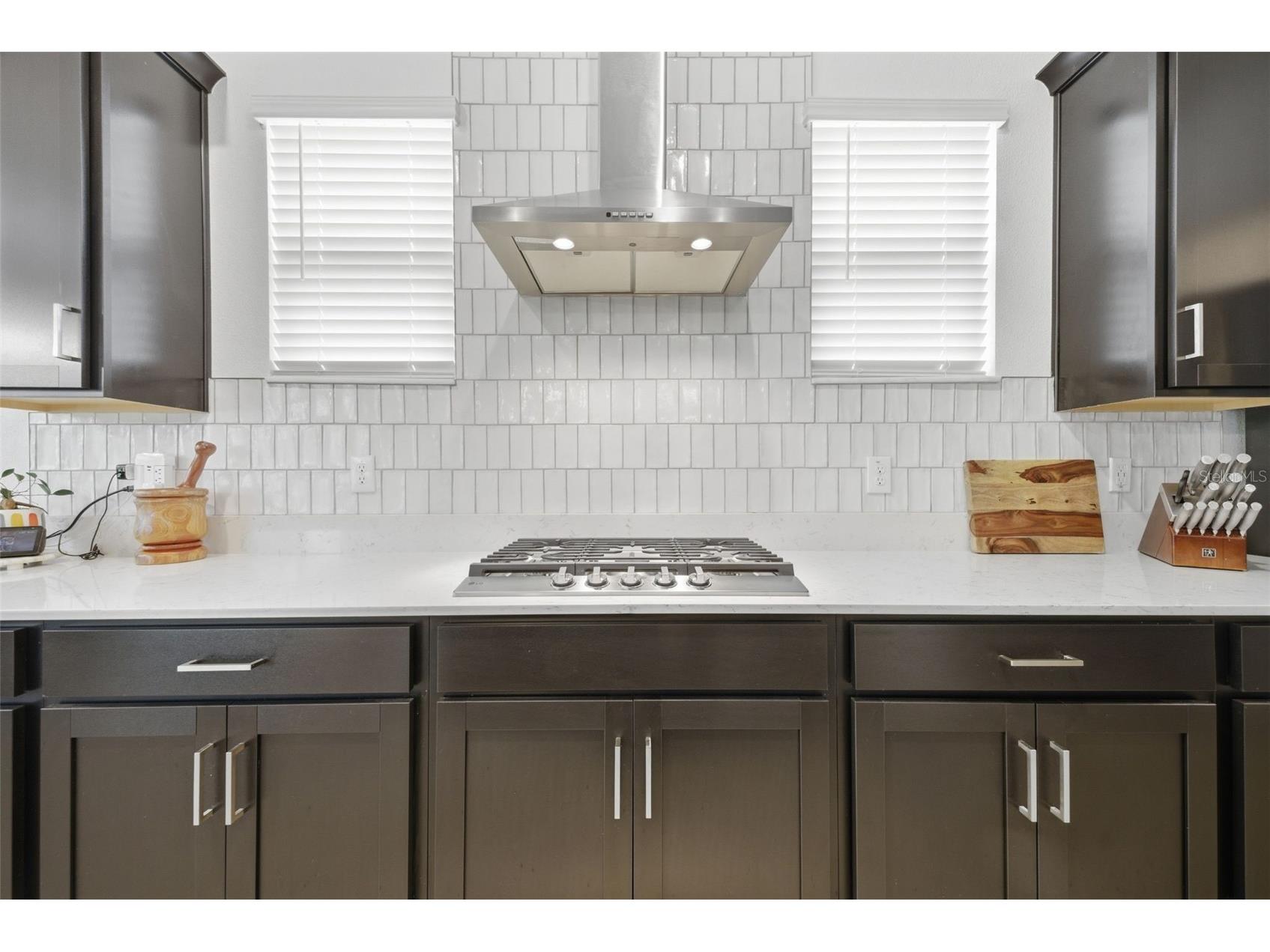 9845 Sword Fern Way Land O Lakes FL 34637 TB8495523 image11