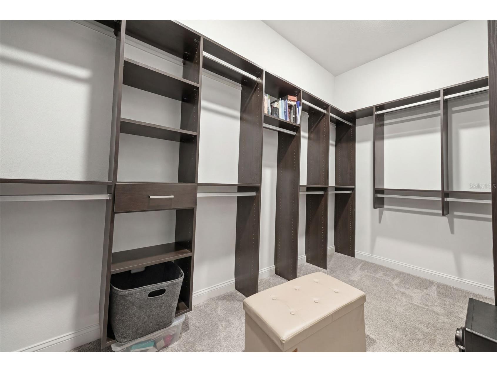 9845 Sword Fern Way Land O Lakes FL 34637 TB8495523 image26