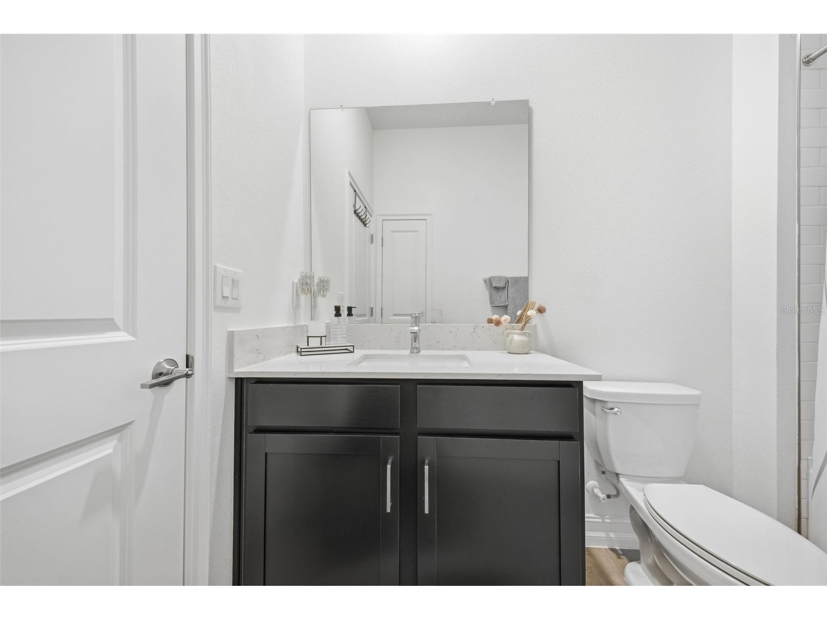 9845 Sword Fern Way Land O Lakes FL 34637 TB8495523 image36