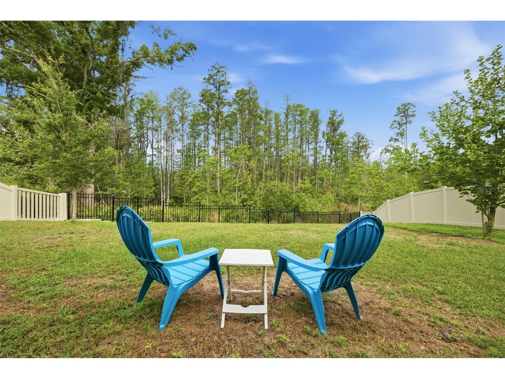 9845 Sword Fern Way Land O Lakes FL 34637 TB8495523 image40