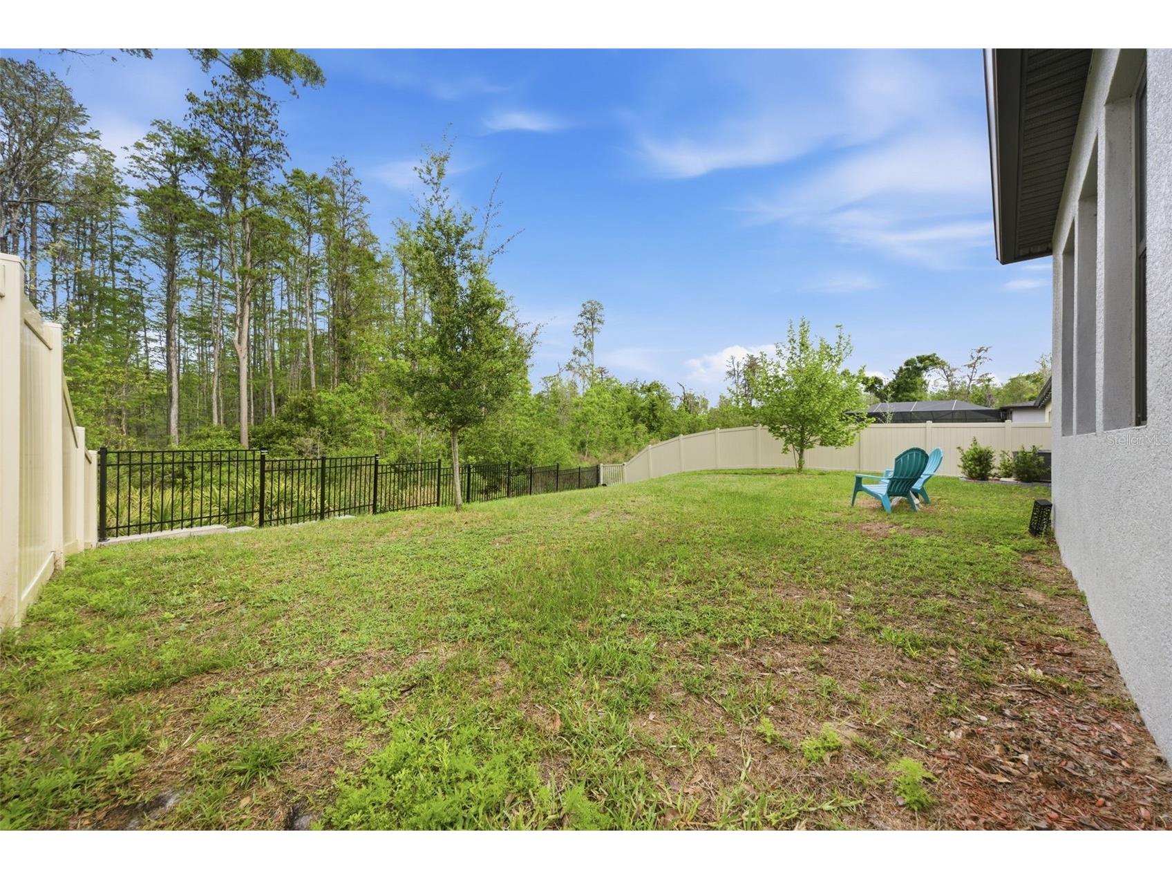 9845 Sword Fern Way Land O Lakes FL 34637 TB8495523 image41
