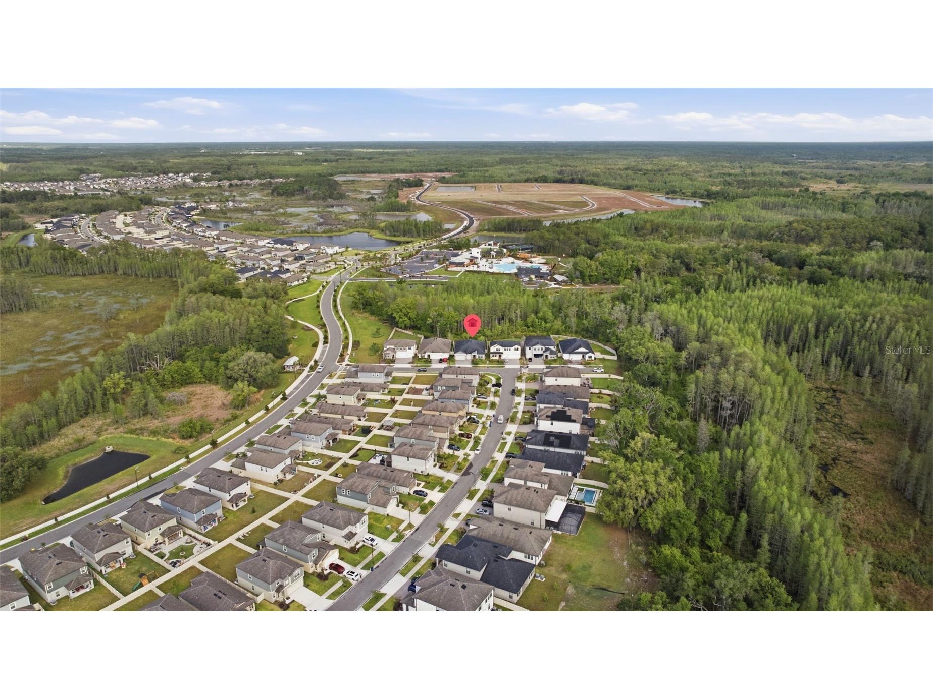 9845 Sword Fern Way Land O Lakes FL 34637 TB8495523 image54