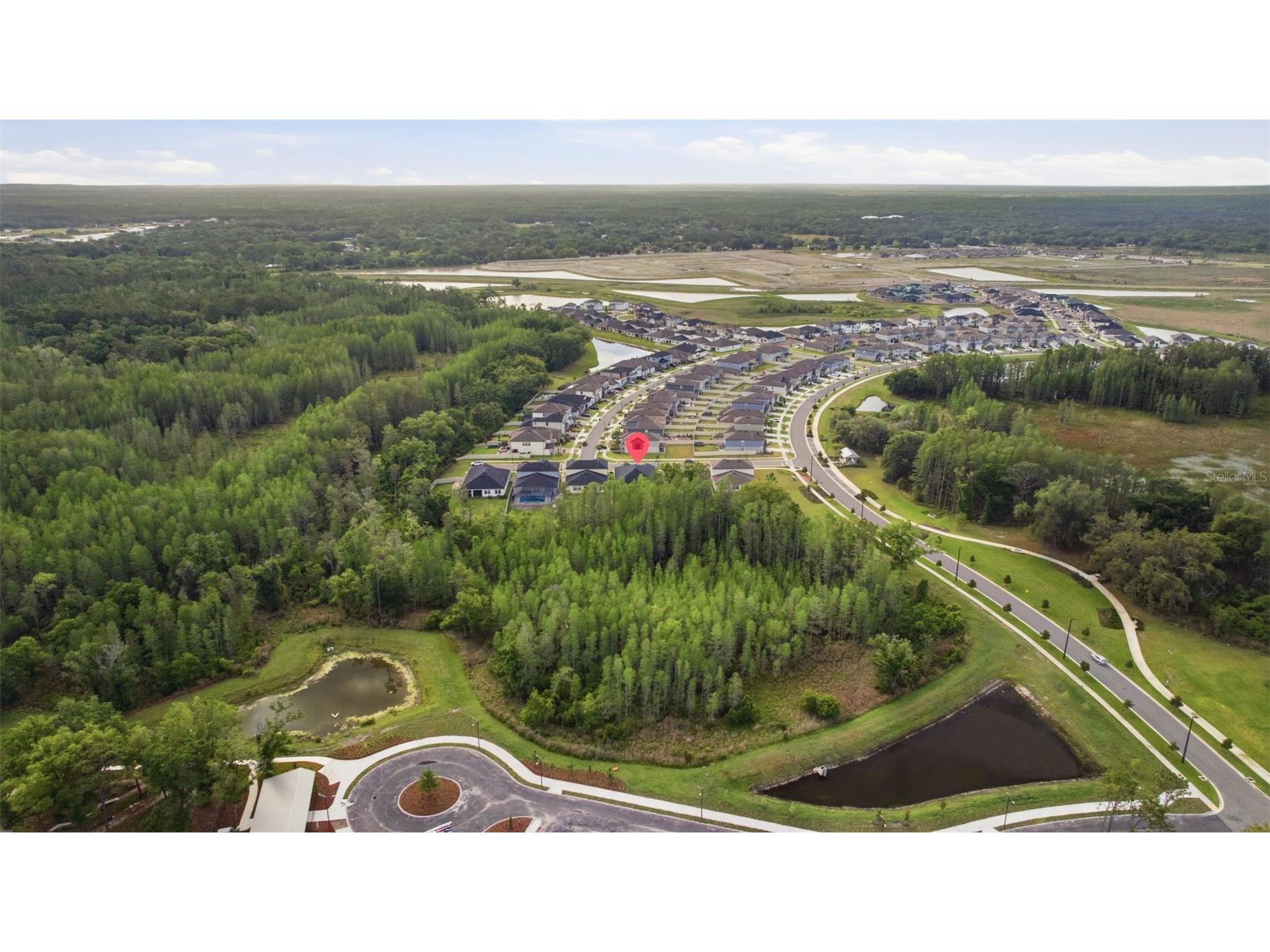 9845 Sword Fern Way Land O Lakes FL 34637 TB8495523 image55