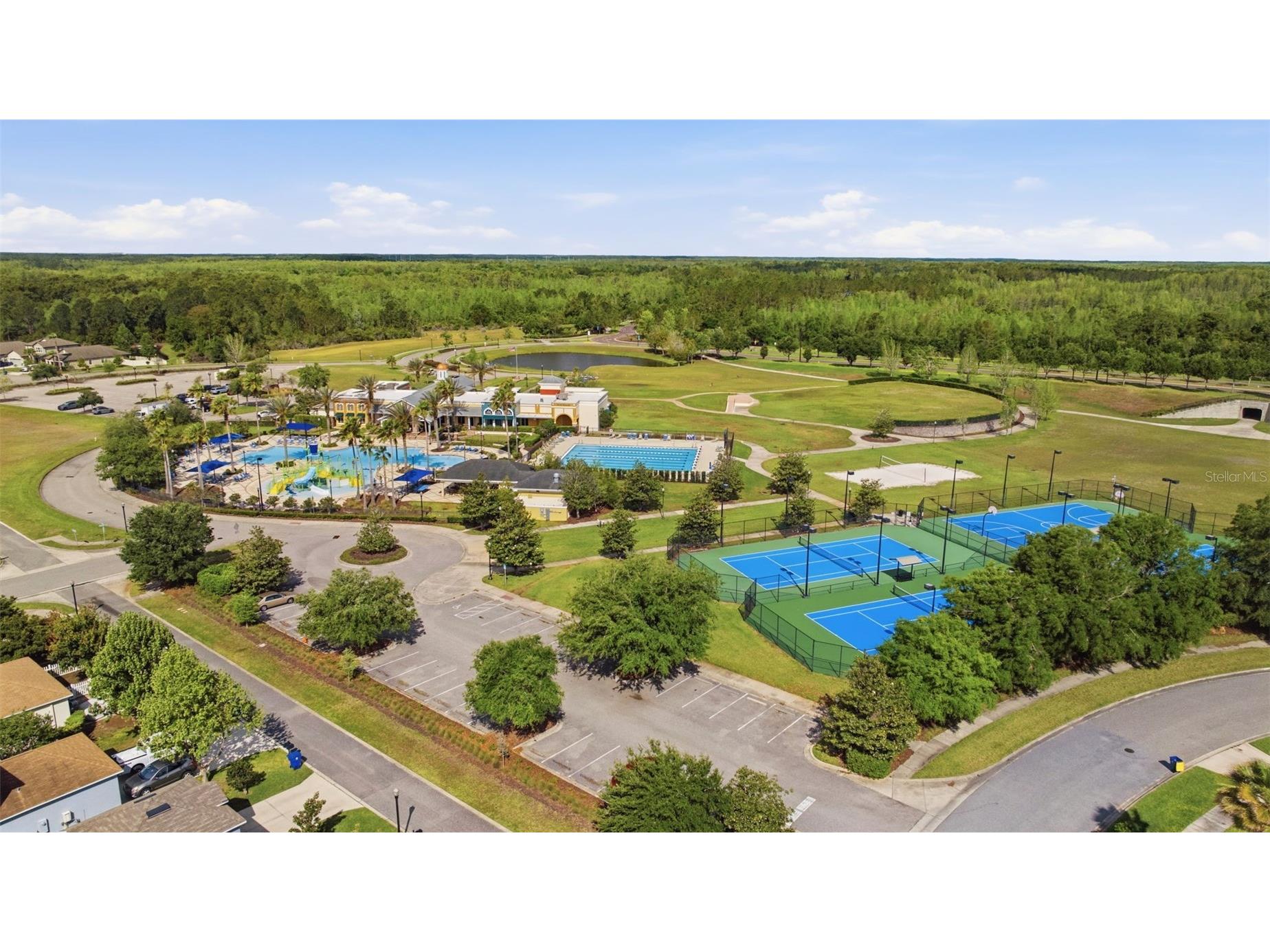 9845 Sword Fern Way Land O Lakes FL 34637 TB8495523 image61