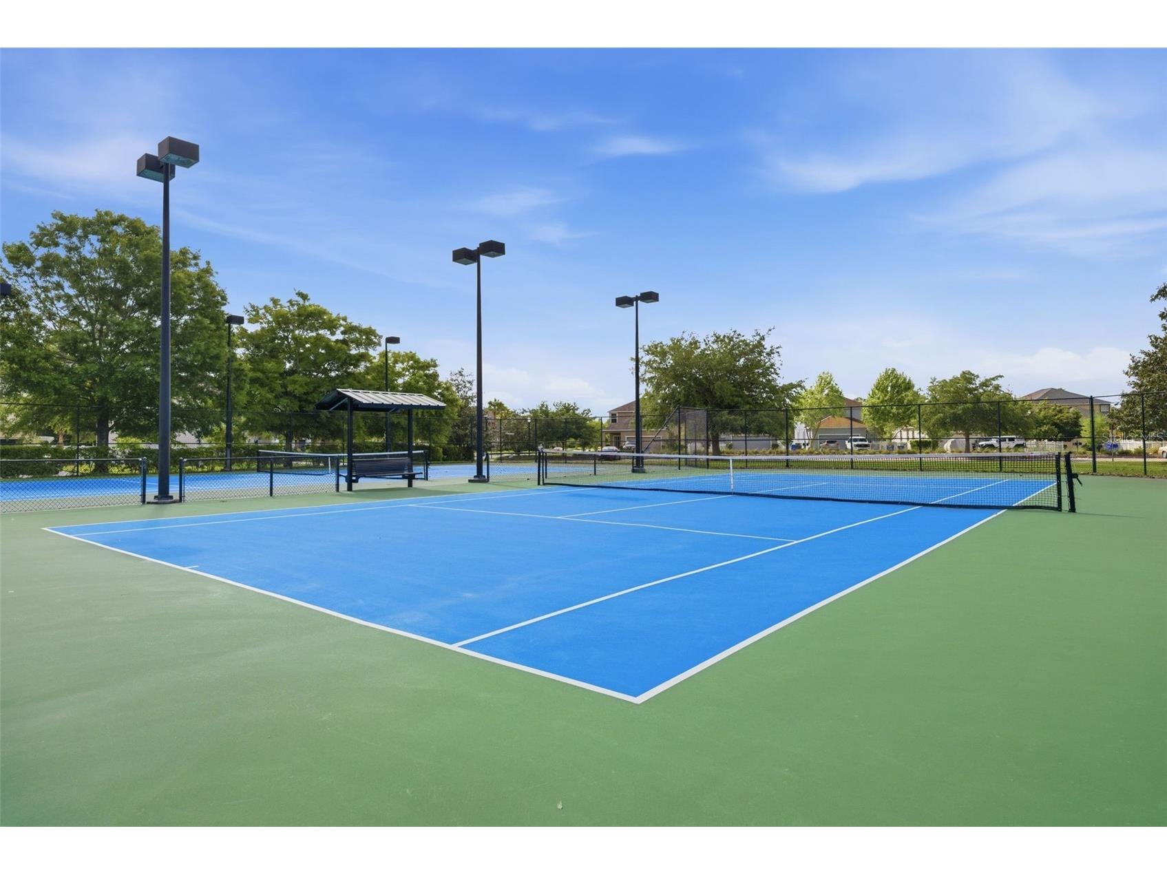 9845 Sword Fern Way Land O Lakes FL 34637 TB8495523 image71