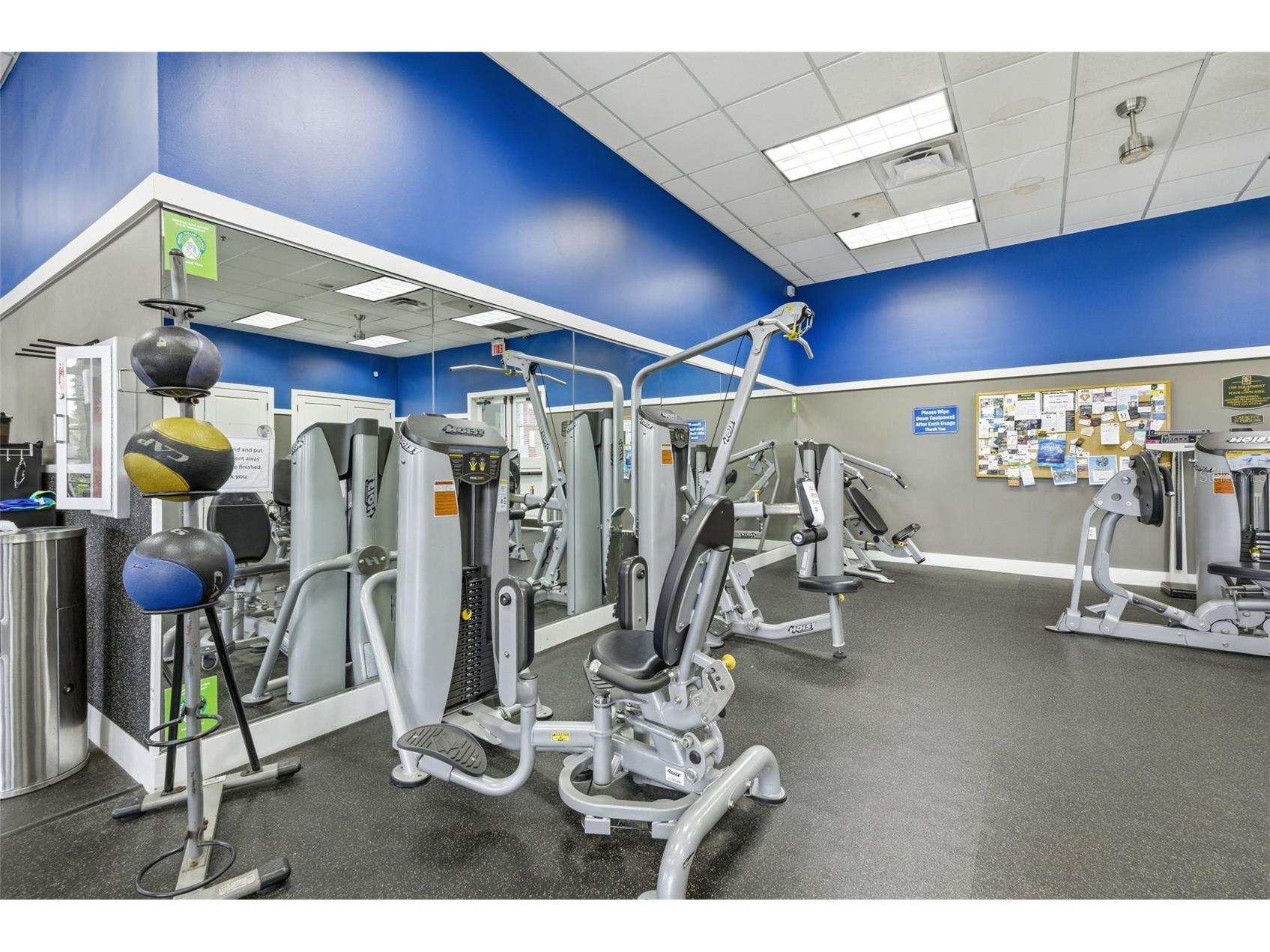 9845 Sword Fern Way Land O Lakes FL 34637 TB8495523 image81