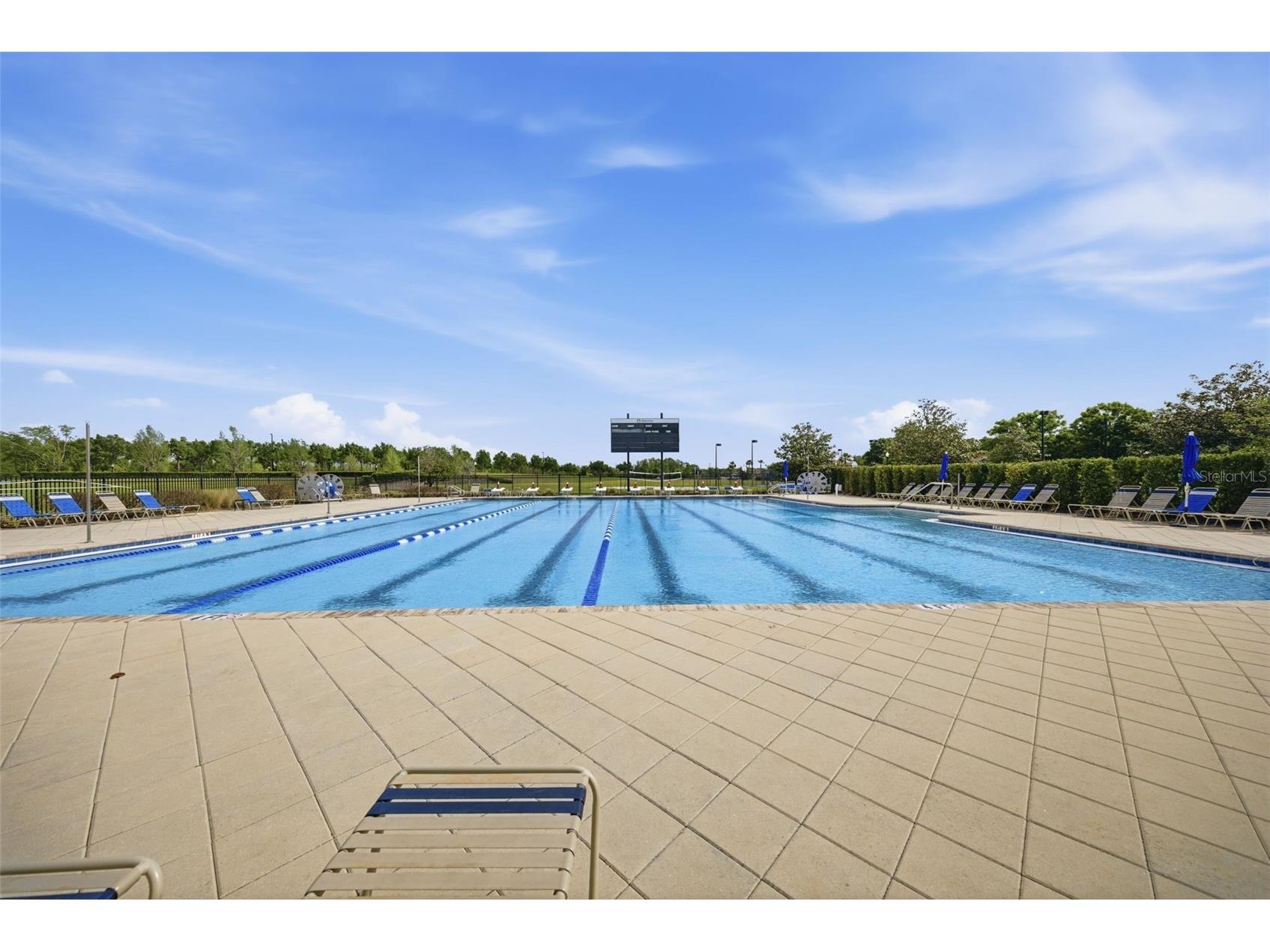 9845 Sword Fern Way Land O Lakes FL 34637 TB8495523 image84