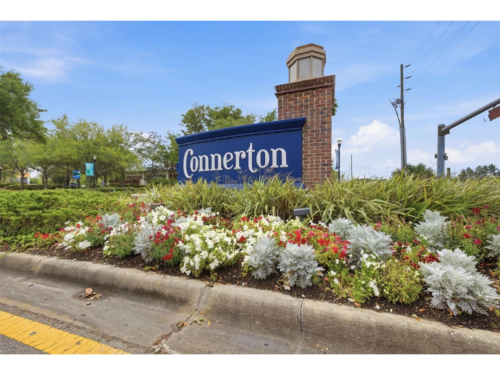 9845 Sword Fern Way Land O Lakes FL 34637 TB8495523 image85