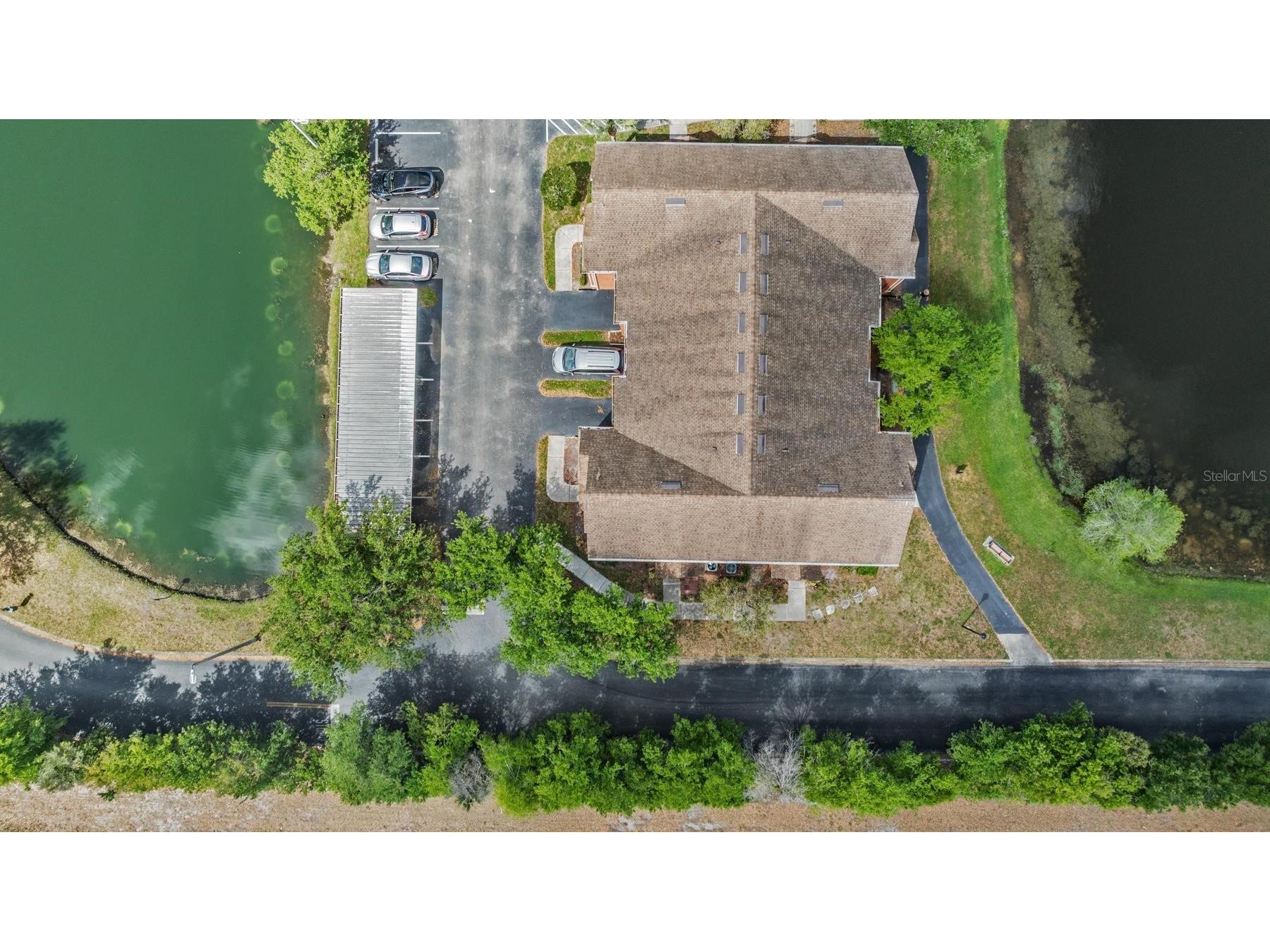 9846 Lake Chase Island Way Tampa FL 33626 TB8486048 image8