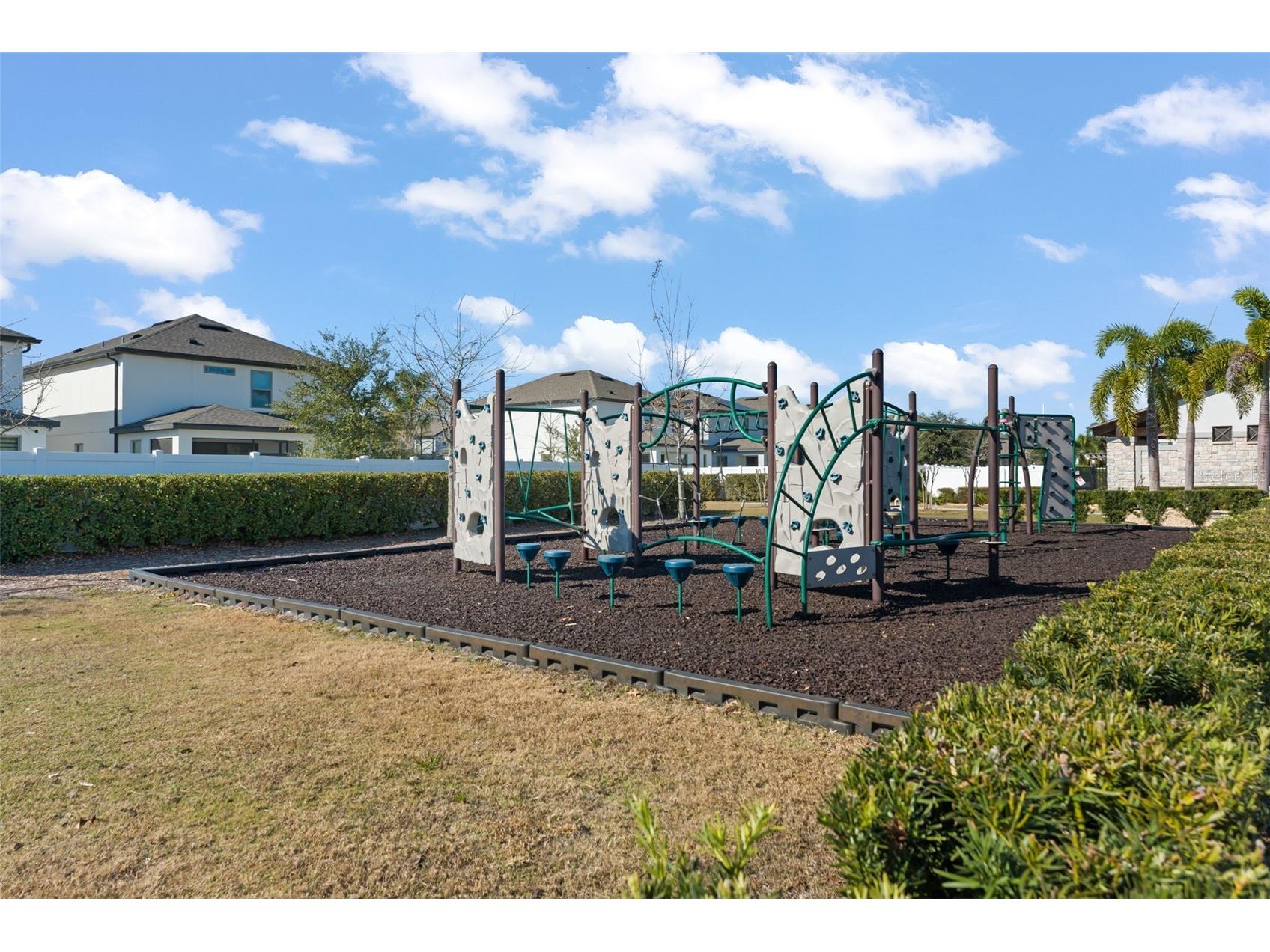 9847 Aurea Moss Lane Orlando FL 32832 O6378472 image42