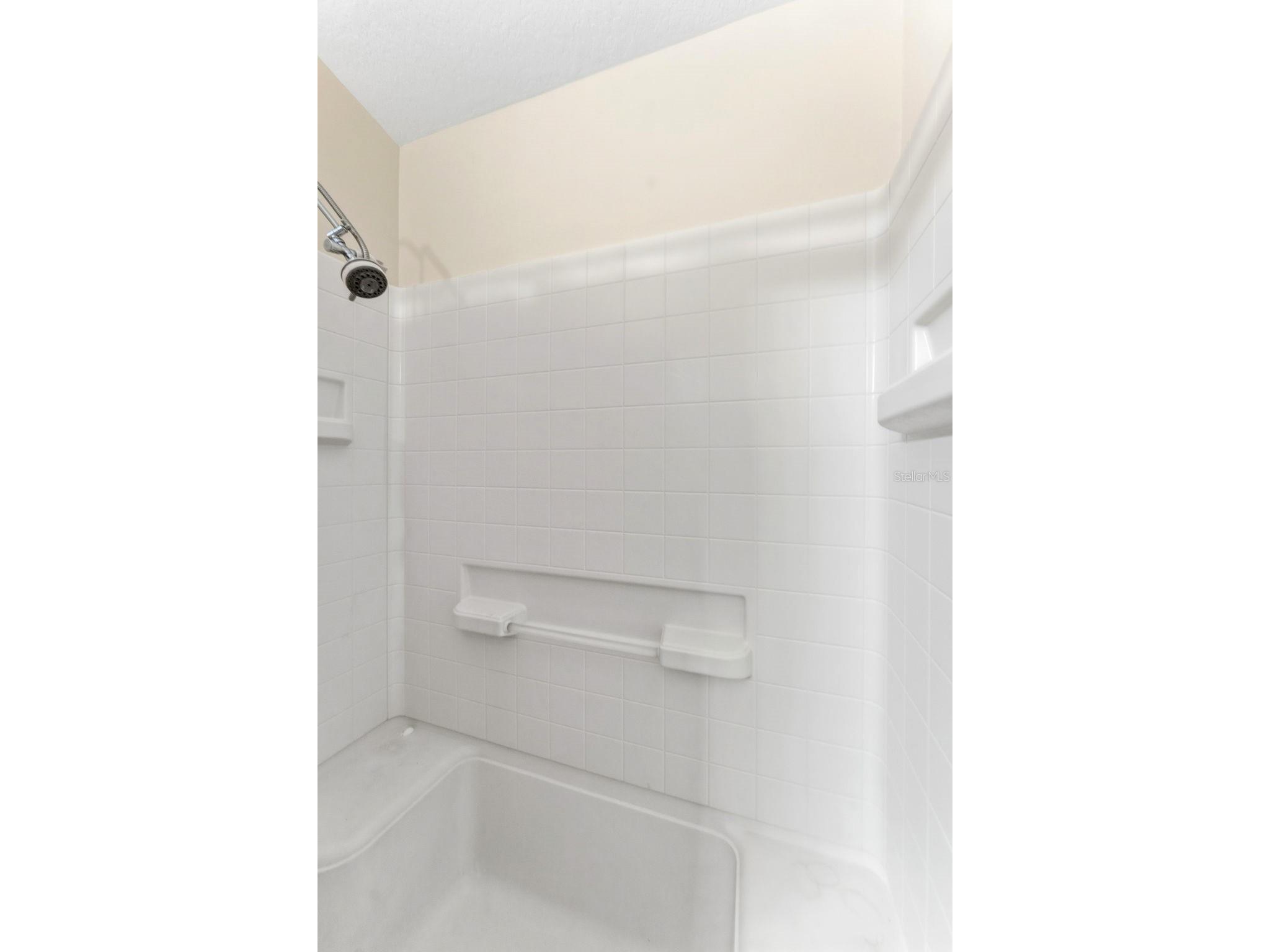 9847 Edmonton Drive Land O Lakes FL 34638 TB8511996 image20