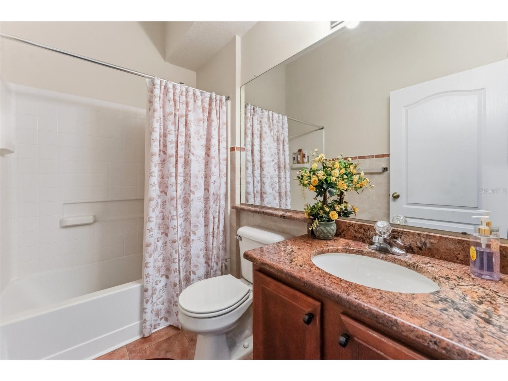 9847 Edmonton Drive Land O Lakes FL 34638 TB8511996 image25