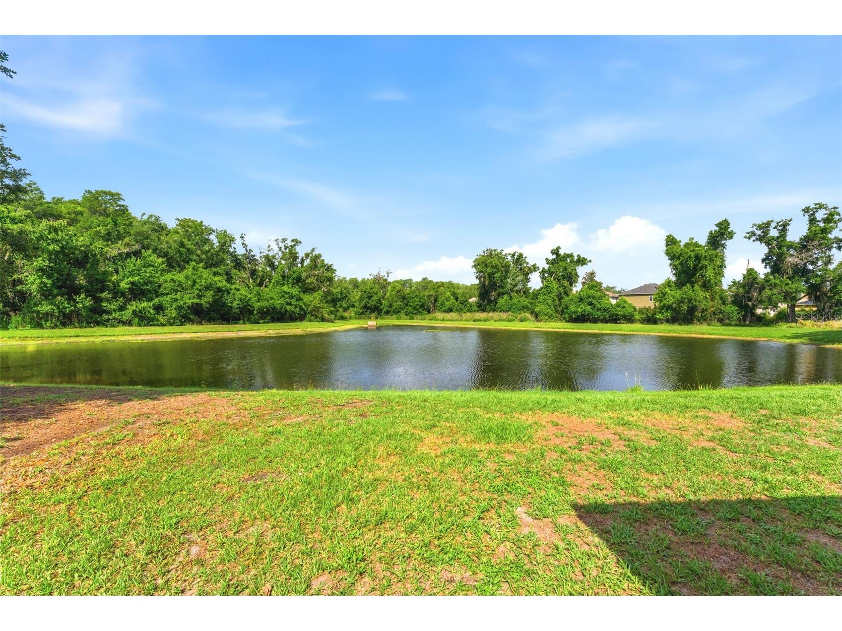 9847 Edmonton Drive Land O Lakes FL 34638 TB8511996 image32