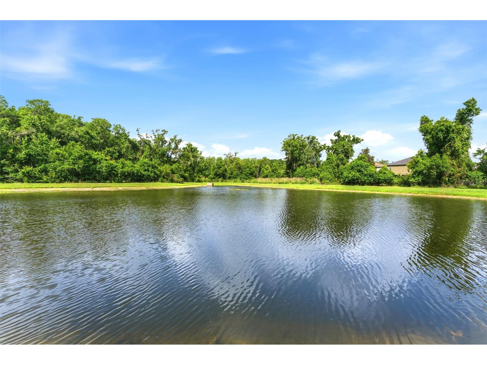 9847 Edmonton Drive Land O Lakes FL 34638 TB8511996 image33