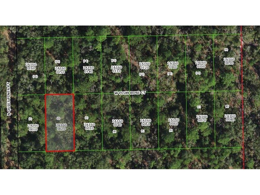 9848 W Plum Rose Court Crystal River FL 34429 A4590364 image1